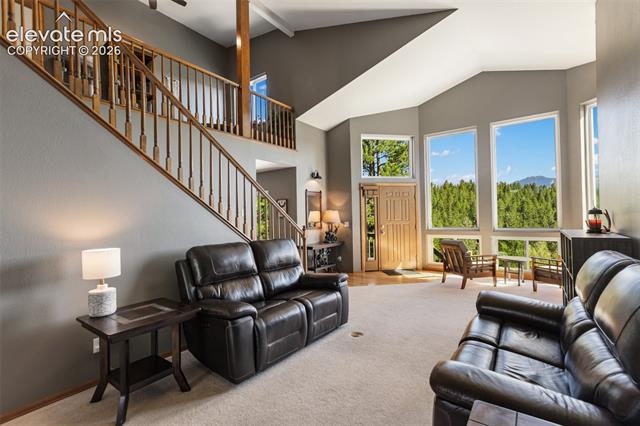 MLS Image for 1240  Ponderosa  ,Woodland Park, Colorado