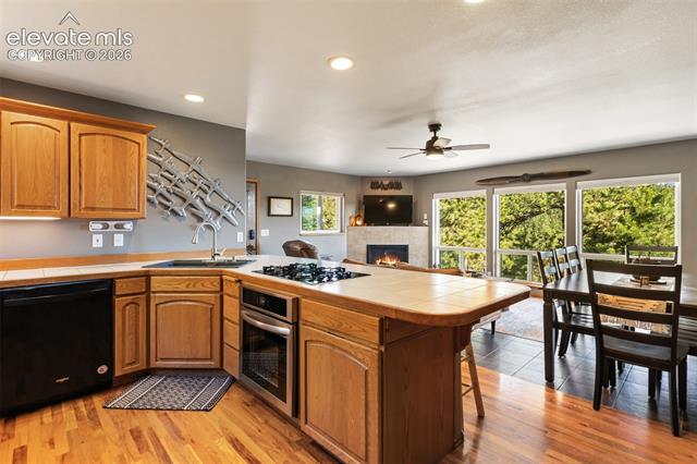 MLS Image for 1240  Ponderosa  ,Woodland Park, Colorado