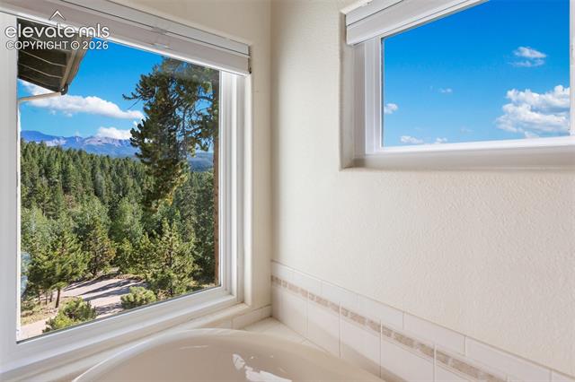 MLS Image for 1240  Ponderosa  ,Woodland Park, Colorado