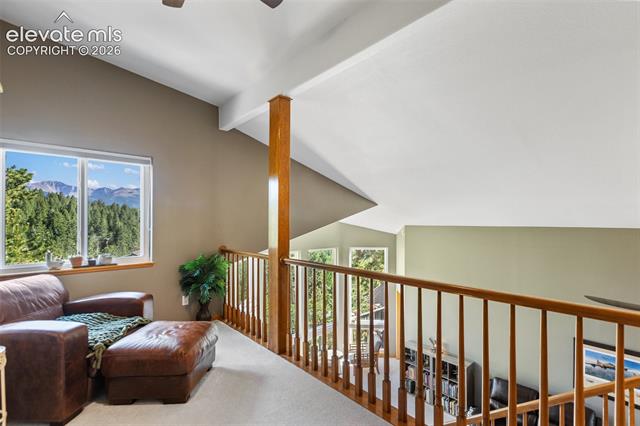 MLS Image for 1240  Ponderosa  ,Woodland Park, Colorado