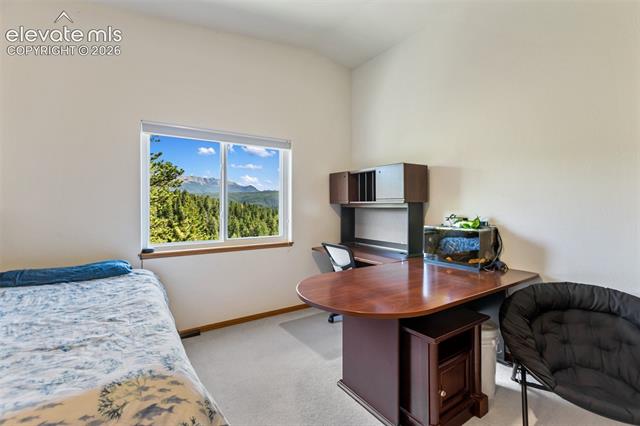 MLS Image for 1240  Ponderosa  ,Woodland Park, Colorado
