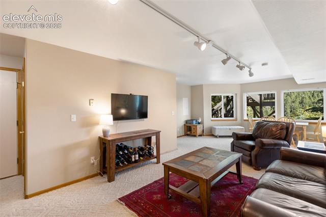 MLS Image for 1240  Ponderosa  ,Woodland Park, Colorado
