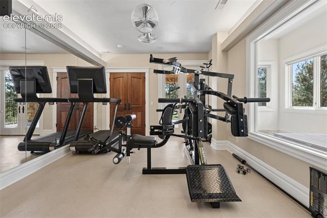 MLS Image for 14345  Millhaven  ,Colorado Springs, Colorado