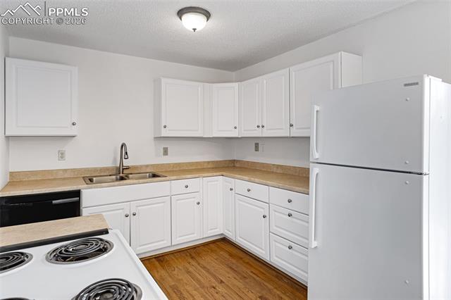 MLS Image for 2436  Launcelot  ,Colorado Springs, Colorado