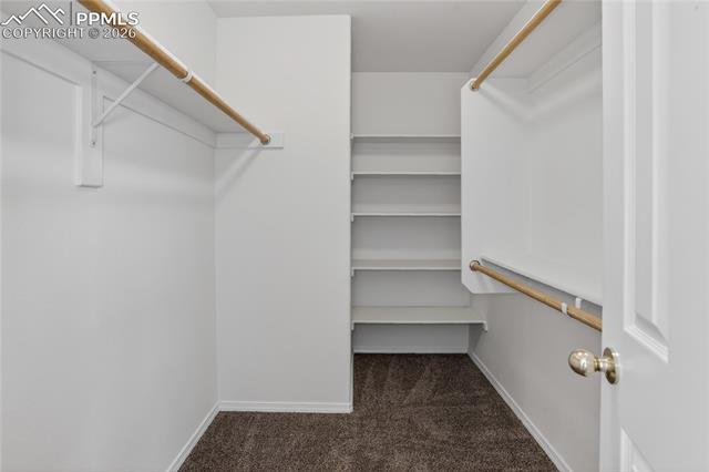 MLS Image for 3893  Roan  ,Colorado Springs, Colorado