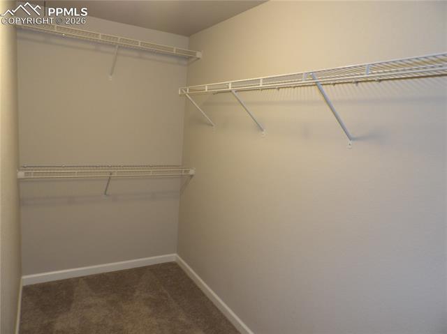 MLS Image for 1077  Tyre  ,Colorado Springs, Colorado