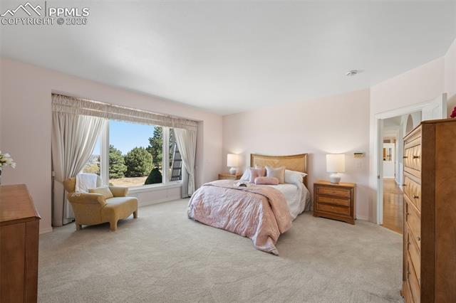 MLS Image for 3735  Cumulus  ,Colorado Springs, Colorado