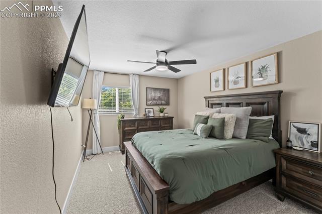 MLS Image for 825 N Grey Eagle  ,Colorado Springs, Colorado