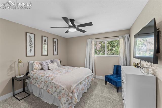 MLS Image for 825 N Grey Eagle  ,Colorado Springs, Colorado