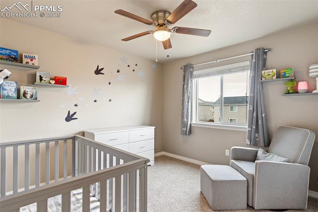 MLS Image for 6171  Cast Iron  ,Colorado Springs, Colorado