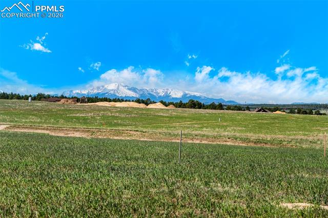 MLS Image for 16990  Early Light  ,Colorado Springs, Colorado