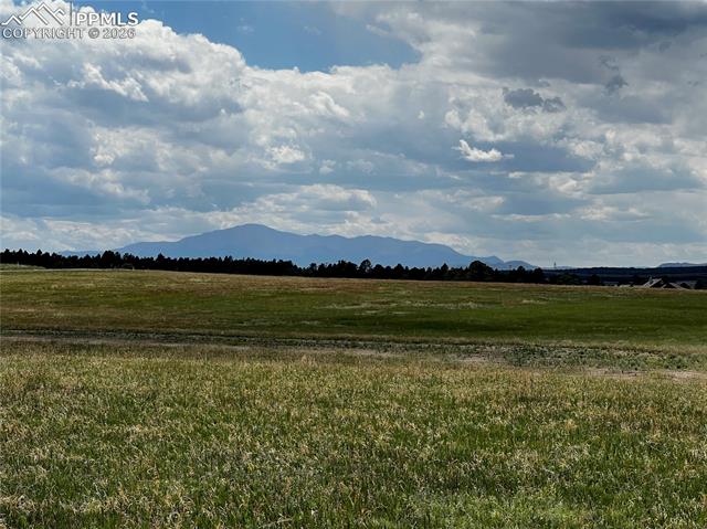 MLS Image for 16990  Early Light  ,Colorado Springs, Colorado