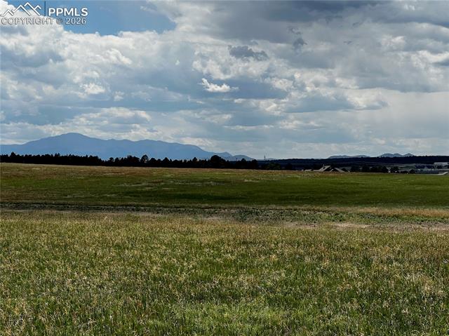 MLS Image for 16990  Early Light  ,Colorado Springs, Colorado