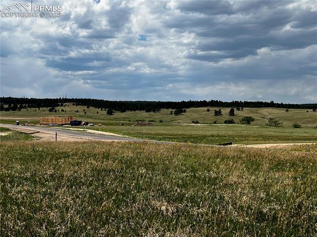 MLS Image for 16990  Early Light  ,Colorado Springs, Colorado