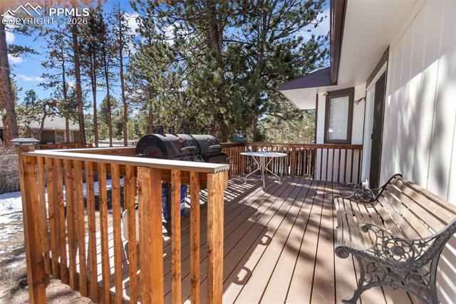MLS Image for 685  Sunnywood  ,Woodland Park, Colorado