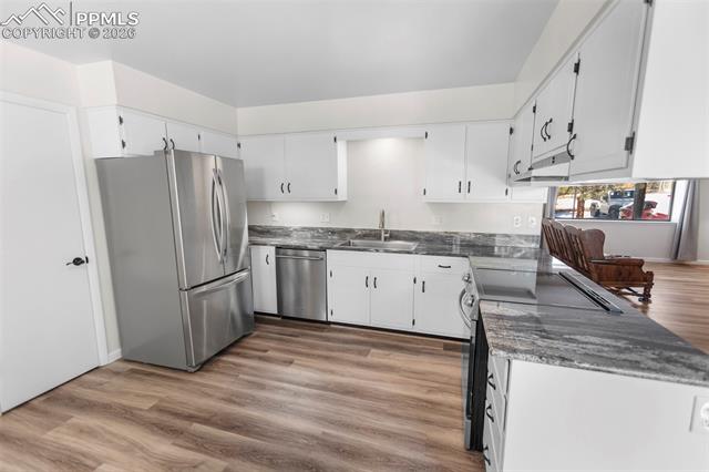 MLS Image for 685  Sunnywood  ,Woodland Park, Colorado