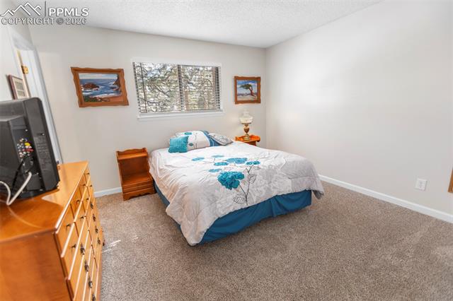 MLS Image for 685  Sunnywood  ,Woodland Park, Colorado