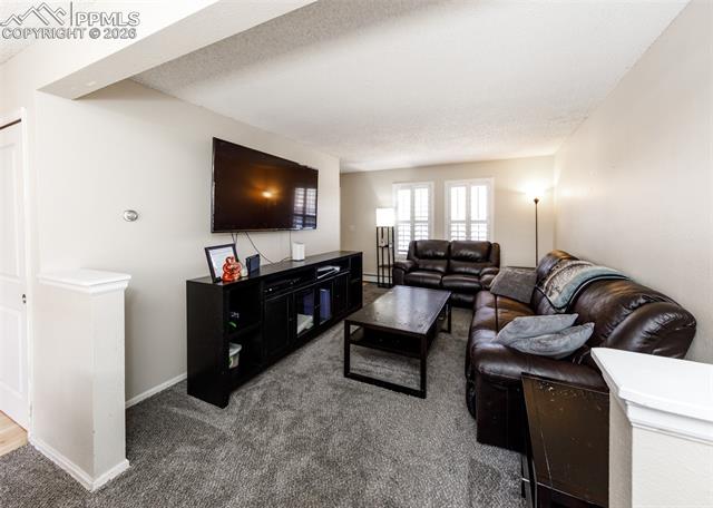 MLS Image for 1173  Willow Bend  C ,Colorado Springs, Colorado