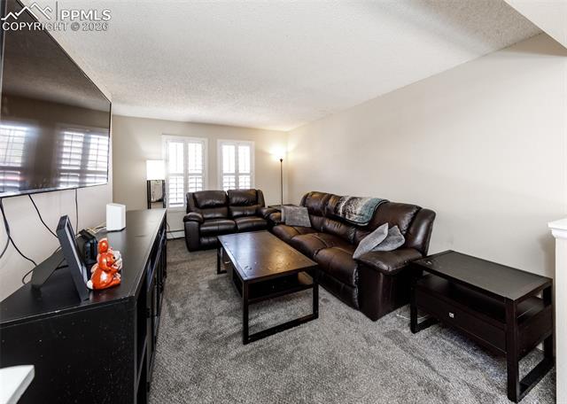 MLS Image for 1173  Willow Bend  C ,Colorado Springs, Colorado