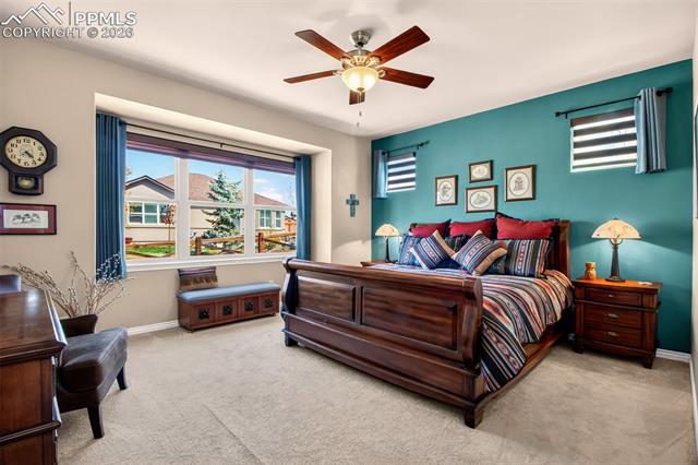 MLS Image for 7136  Jagged Tree  ,Colorado Springs, Colorado