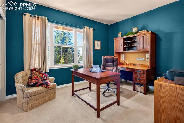 MLS Image for 7136  Jagged Tree  ,Colorado Springs, Colorado