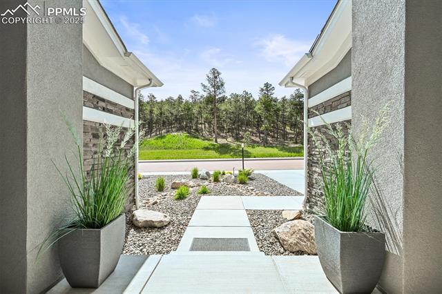 MLS Image for 16312  Morning Rise  ,Monument, Colorado