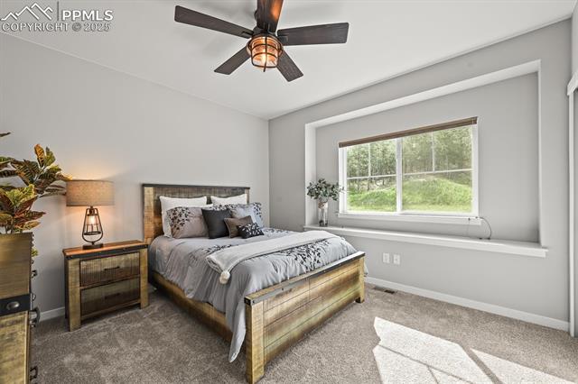 MLS Image for 16312  Morning Rise  ,Monument, Colorado