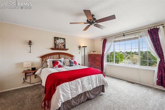 MLS Image for 7916  Black Walnut  ,Colorado Springs, Colorado