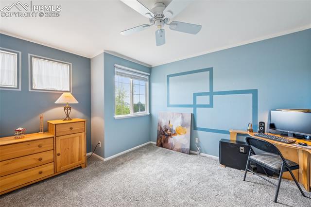 MLS Image for 7916  Black Walnut  ,Colorado Springs, Colorado
