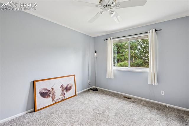 MLS Image for 7916  Black Walnut  ,Colorado Springs, Colorado