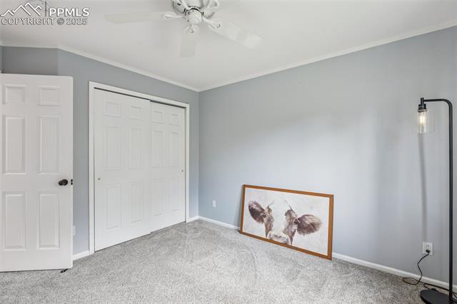 MLS Image for 7916  Black Walnut  ,Colorado Springs, Colorado
