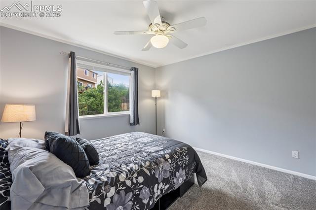 MLS Image for 7916  Black Walnut  ,Colorado Springs, Colorado