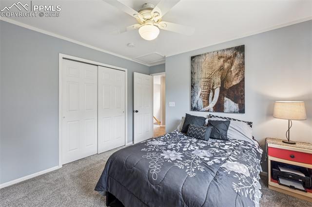 MLS Image for 7916  Black Walnut  ,Colorado Springs, Colorado