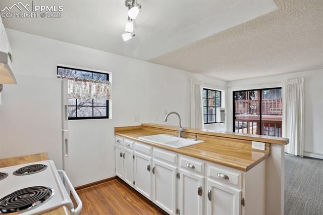 MLS Image for 2430  Palmer Park  E2 ,Colorado Springs, Colorado