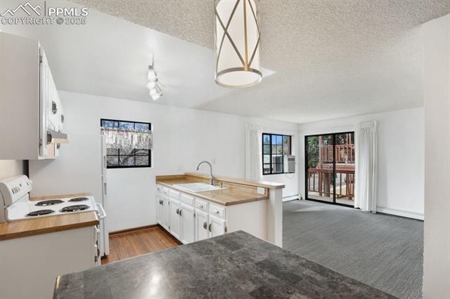 MLS Image for 2430  Palmer Park  E2 ,Colorado Springs, Colorado