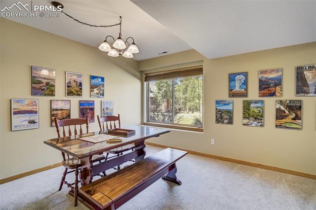 MLS Image for 221  Eagle Pines  ,Woodland Park, Colorado