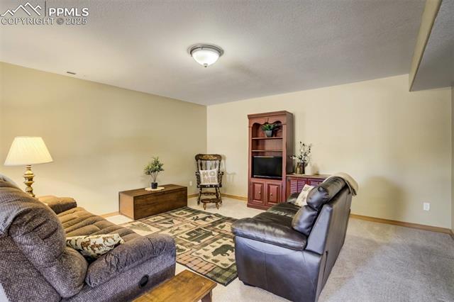 MLS Image for 221  Eagle Pines  ,Woodland Park, Colorado