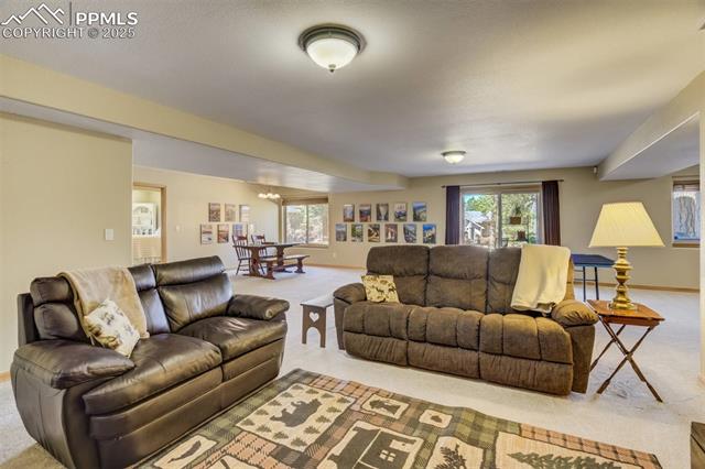 MLS Image for 221  Eagle Pines  ,Woodland Park, Colorado