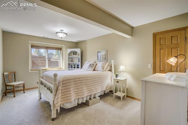 MLS Image for 221  Eagle Pines  ,Woodland Park, Colorado