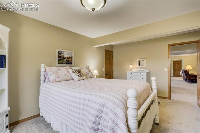 MLS Image for 221  Eagle Pines  ,Woodland Park, Colorado