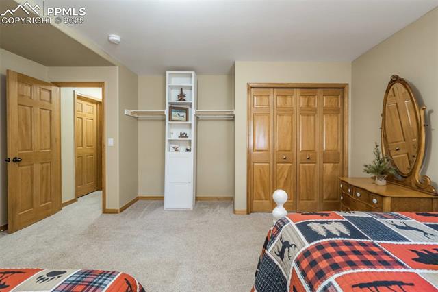MLS Image for 221  Eagle Pines  ,Woodland Park, Colorado