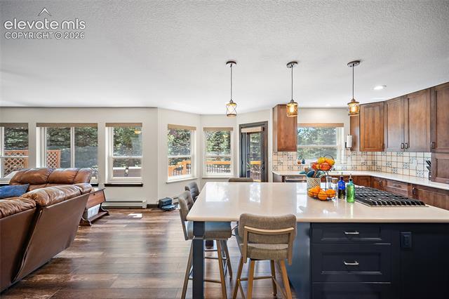 MLS Image for 17805  Fairplay  ,Monument, Colorado