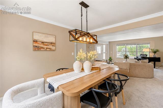 MLS Image for 2712  Emerald Ridge  ,Colorado Springs, Colorado