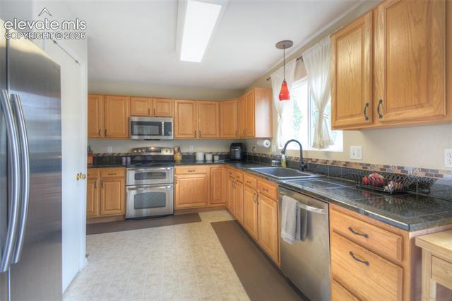 MLS Image for 17085  Foxcross  ,Monument, Colorado