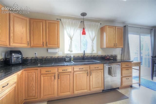 MLS Image for 17085  Foxcross  ,Monument, Colorado