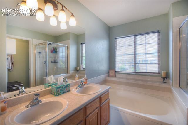 MLS Image for 17085  Foxcross  ,Monument, Colorado