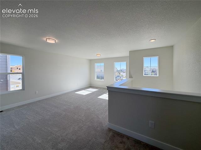 MLS Image for 8206  Lemon Grass  ,Peyton, Colorado