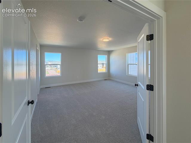 MLS Image for 8206  Lemon Grass  ,Peyton, Colorado