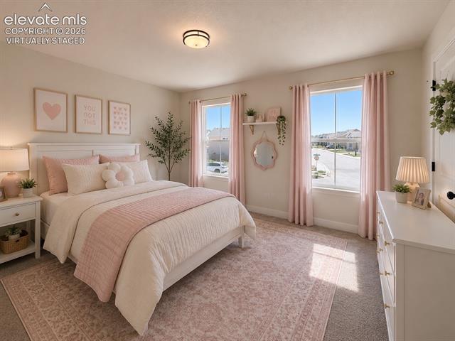 MLS Image for 8206  Lemon Grass  ,Peyton, Colorado