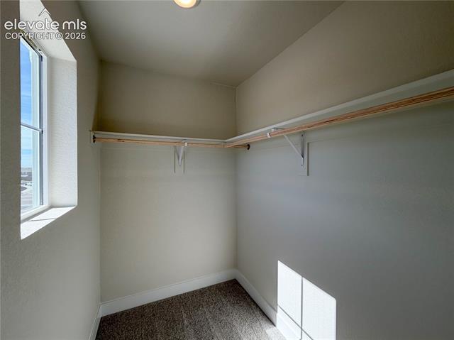 MLS Image for 8206  Lemon Grass  ,Peyton, Colorado